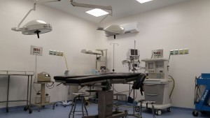 Inician servicios en Hospital provisional Macedonio Benítez Fuentes (1)