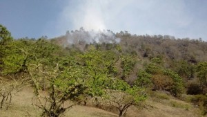 Incendio Forestal en Sierra Norte controlado en un 55 por ciento (2)