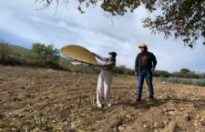 Promueve CCO documental “El chef zapoteco” de la oaxaqueña Ana Silvia Cantú