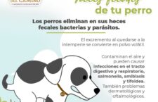 Ayuntamiento de Santa Lucía del Camino promueve cuidado responsable de animales de compañía