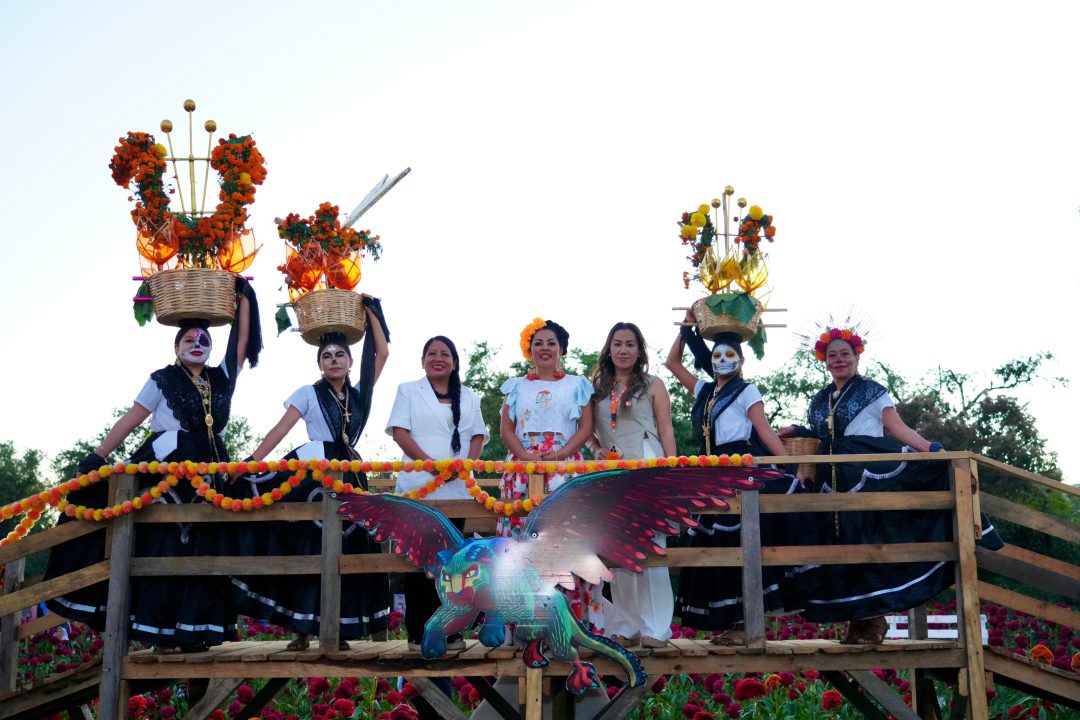 IMG-20251028-WA0053(1)